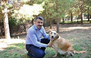 Yıldırım’da 27 bin sokak hayvanı tedavi edildi