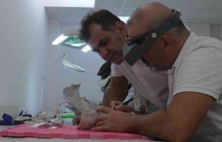 Yol yapımı sırasında tesadüfen ortaya çıktı,...