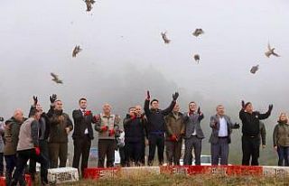 Yüzlerce keklik doğaya salındı