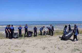 Zabıta ekipleri, Van Gölü sahilinde temizlik çalışması...