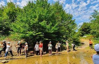 Zonguldak Harmankaya Şelaleleri Tabiat Parkı’nda...