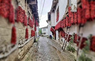 100 fotoğraf sever ve fotoğraf sanatçılarının...