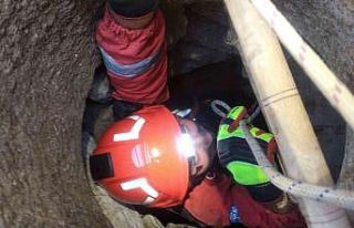 10 metrelik kuyuya düşen yavru kediyi itfaiye kurtardı