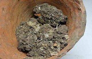 1600 yıllık balık kılçığı ve pulları bulundu