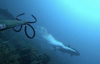 1 saat uğraştı, boyu kadar balık yakaladı