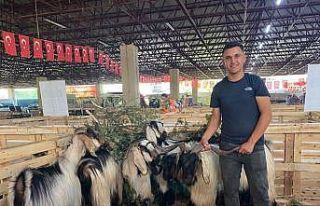 2. Geleneksel koyun keçi ekipmanları festivaline...