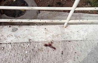 7. kattan atlayarak intihar etti