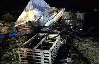 90 Adana güvercini dakikalar içinde telef oldu