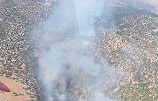 Adana’daki orman yangınına müdahale sürüyor