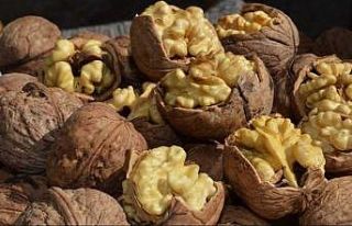 Adilcevaz 25. Ceviz Festivali Ve Kültür Etkinlikleri...