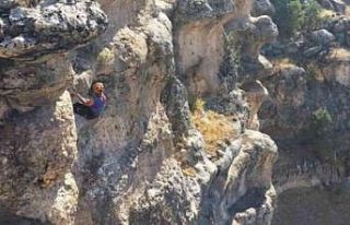 AFAD ekipleri uçuruma çıkan keçileri kurtardı