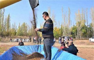 Afyonkarahisar’da ’Karabuğday’ için tarla...