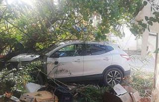 Ağaca çarpan otomobilin sürücüsü yaralandı