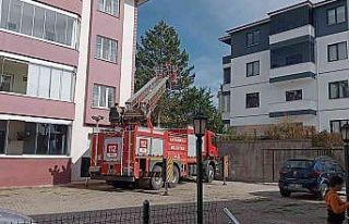 Ağaçta mahsur kalan kediyi itfaiye kurtardı