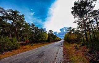 Akdağmadeni ormanında güz renkleri göz kamaştırıyor
