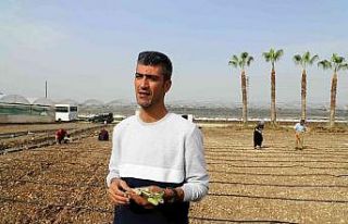 Akdenizli üreticiler ’maralfalfa’ ile tanıştı