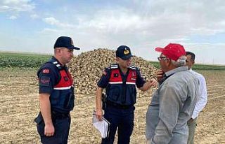 Aksaray jandarma hırsızlığa karşı tarım arazilerinde