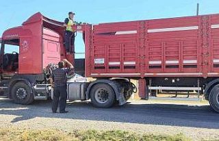 Aksaray’da jandarmadan tonajlı araç denetimi