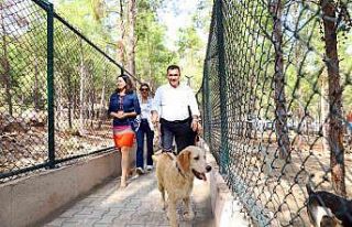 Alanya Belediyesi Köpek Bahçesi ve Doğal Yaşam...