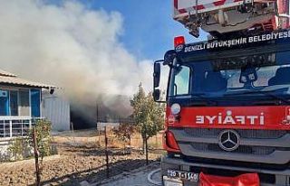 Alev alan samanlar küle döndü