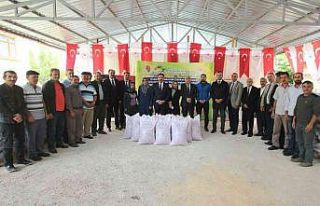 Amasya çiftçisine 169 ton yem bitkisi tohumu desteği