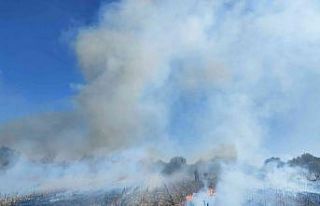 Antalya’da anız yangını itfaiye ekiplerine zor...