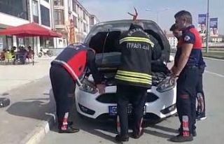 Aracın motoruna sıkışan yavru kediyi itfaiye kurtardı