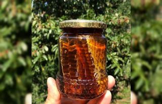 Artvin’de aşırı yağışlar kestane balının...