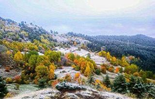 Artvin’de kar yağışı sonrası yüksek kesimler...
