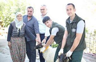 Aydın Büyükşehir Belediyesi Çine Çaparı ve...