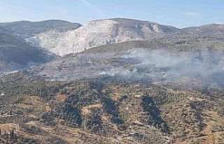 Aydın’da makilik ve zirai alandaki yangın kontrol...