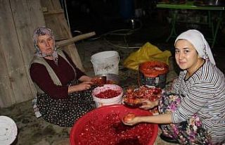 Aydın’da nar ekşisi telaşı başladı