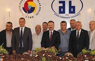 Aydın’da sezonun ilk kestanesi 250 TL’den alındı