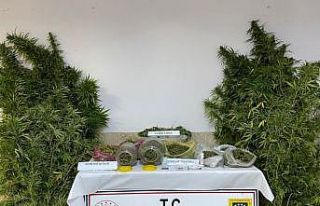 Aydın’da uyuşturucu ile mücadelede bir haftada...