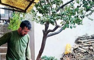 Aydın’ın kırsal mahallelerinde şifa kaynağı...