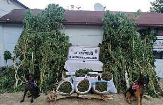 Baba-oğulun uyuşturucu üretimine jandarmadan operasyon