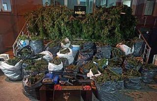 Bafra’dan zehir tacirlerine büyük darbe