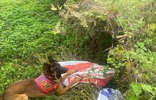 Bahçede kavanozlara saklanan uyuşturucu ‘Yatkın’dan...