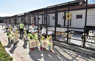 Balıkesir’de mamamatikler devreye alınacak