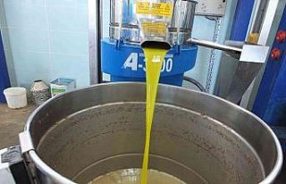 Balıkesir’de üreticiler zeytinyağı fiyatının...