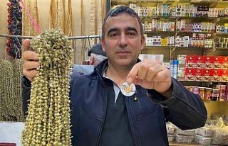 Bamya gram altın ile yarışıyor