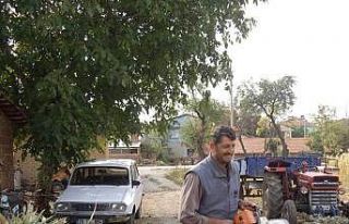 Başına çarpan ağaç sonu oldu