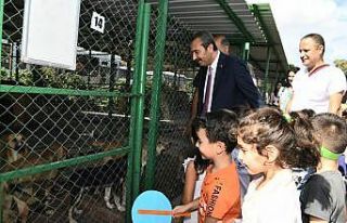 Başkan Çetin’den hayvan ambulansı müjdesi