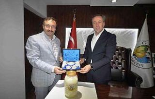 Başkan Doğan, Geyve’de incelemelerde bulundu