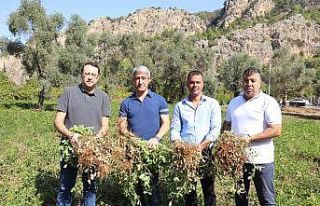 Başkan Oktay, “Üretmenin gururunu yaşıyoruz”