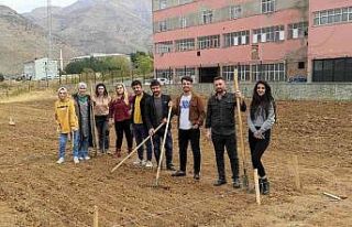 Batman’da Mereto Dağı eteklerinde ilk defa aspir...