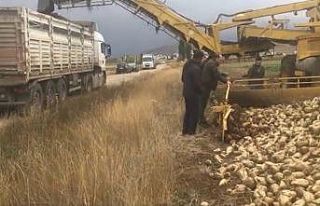 Bayburt’ta bu yıl hedeflenen şeker pancarı üretimi...