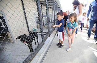 Bayraklı’da minikler can dostlarla buluştu