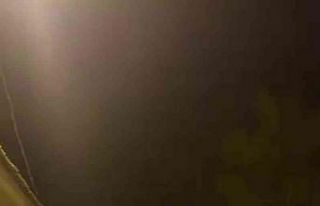 Bekçiler 1 ayda 37 aranan şahıs ve birçok ruhsatsız...