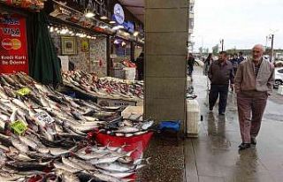 Beklenen palamut göçü gerçekleşti